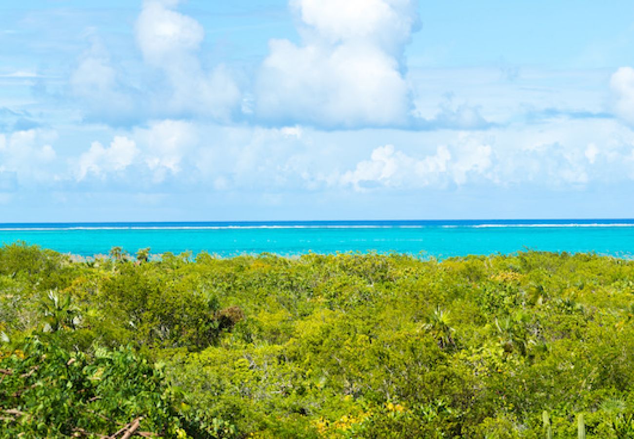 Villa in Grace Bay - Tree House