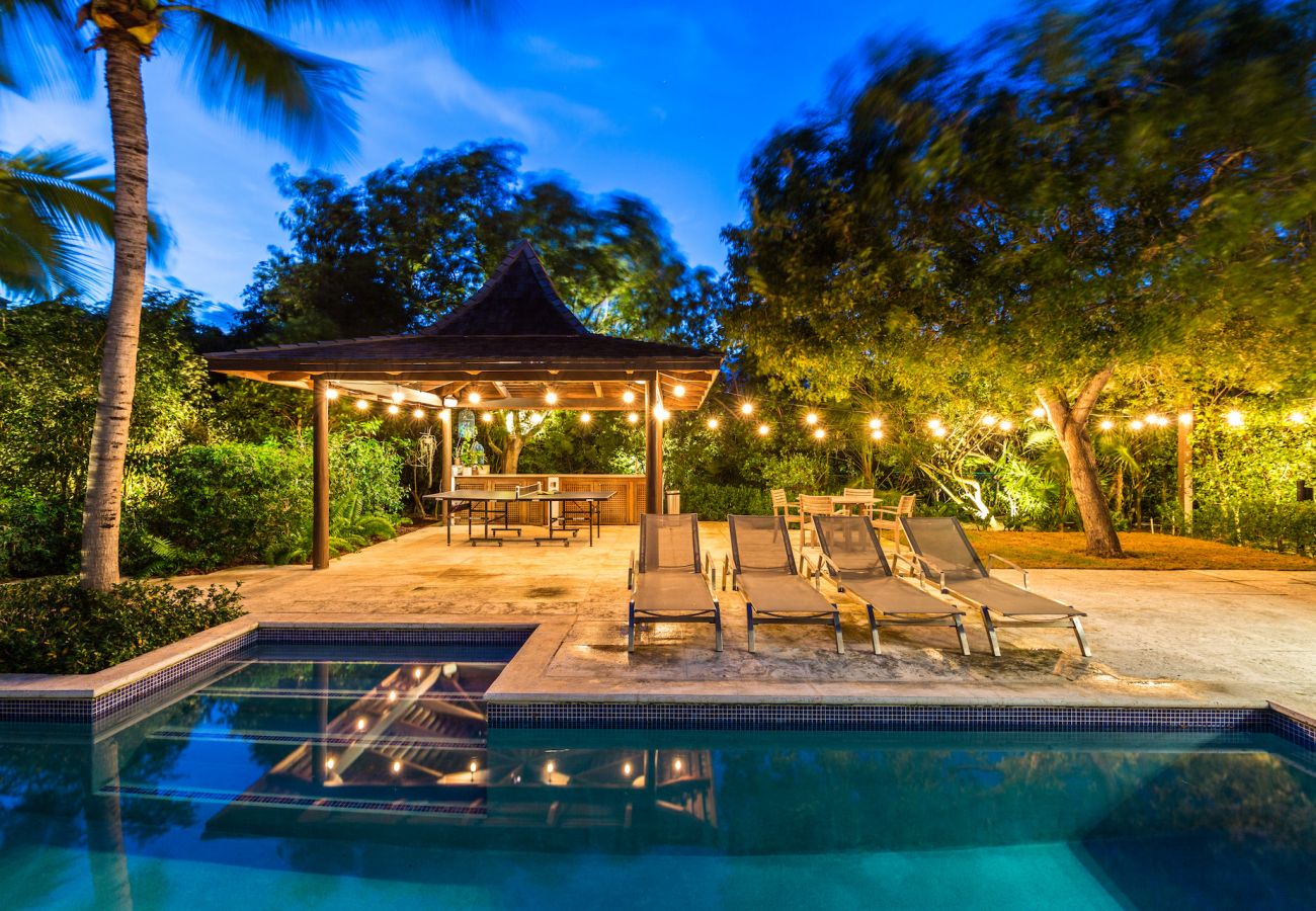 Villa in Grace Bay - Tree House