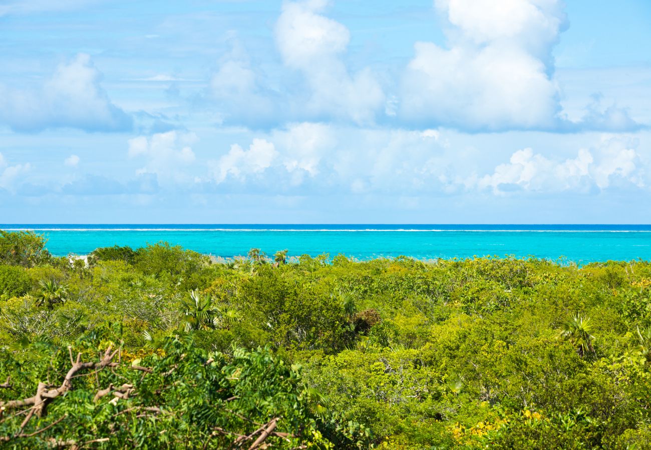 Villa in Grace Bay - Tree House