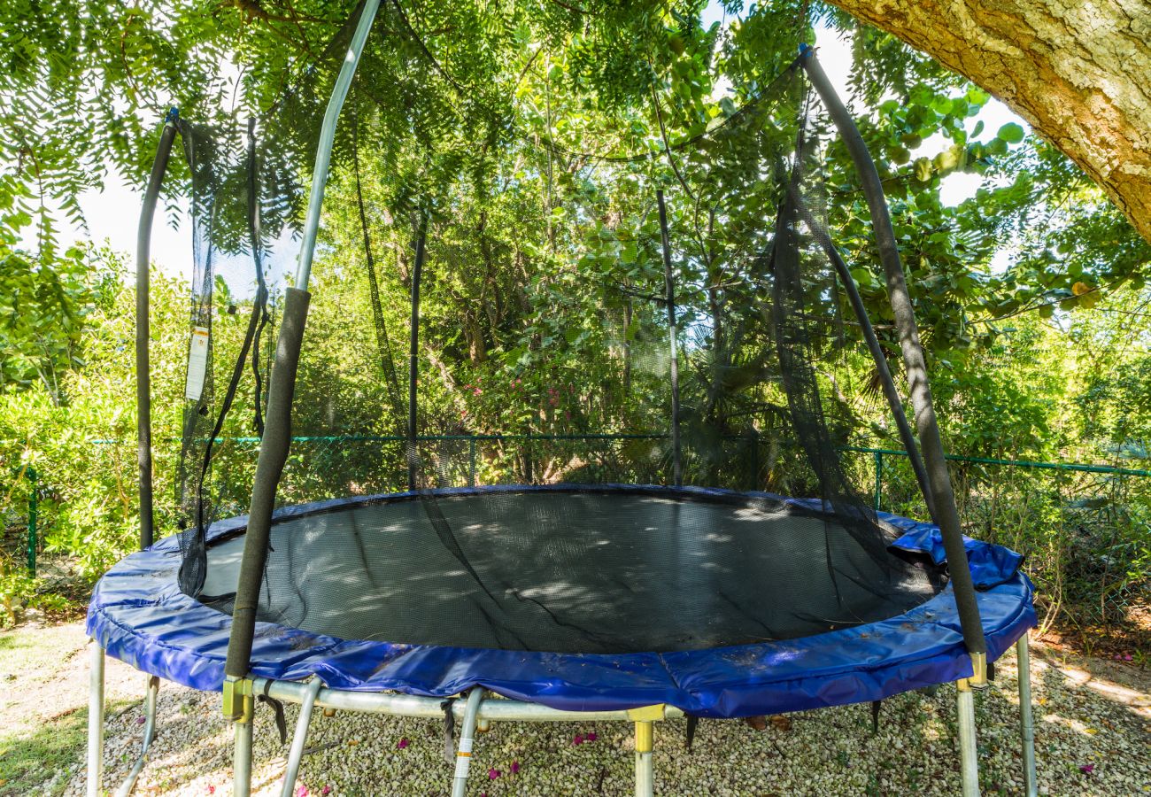 Villa in Grace Bay - Tree House