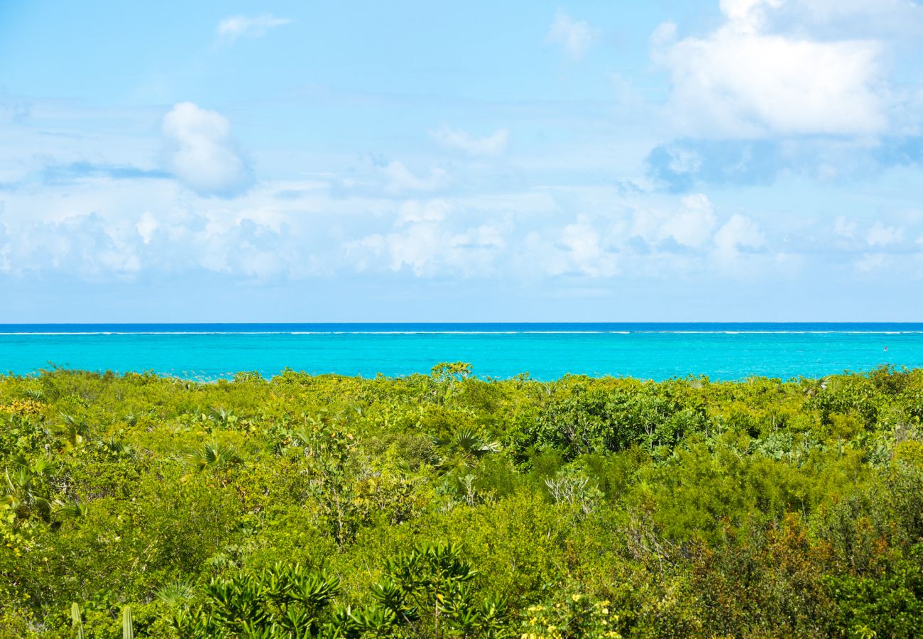 Villa in Grace Bay - Tree House