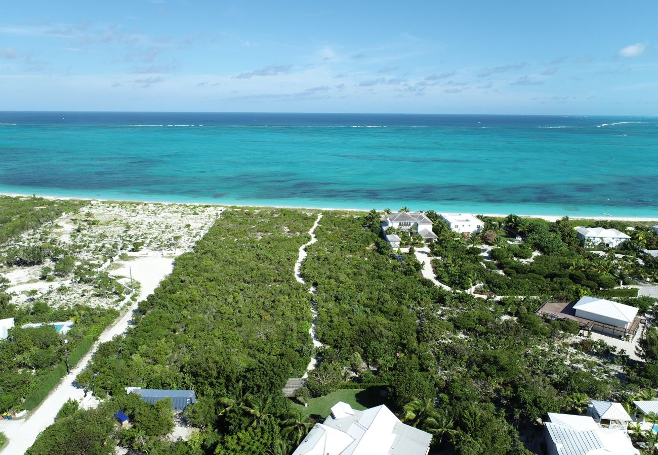 Villa in Grace Bay - Tree House