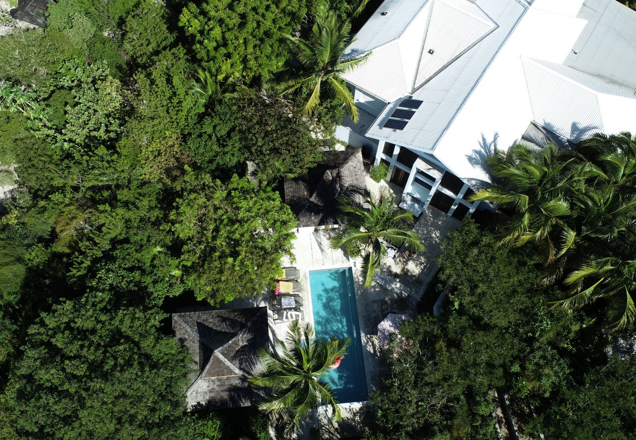 Villa in Grace Bay - Tree House