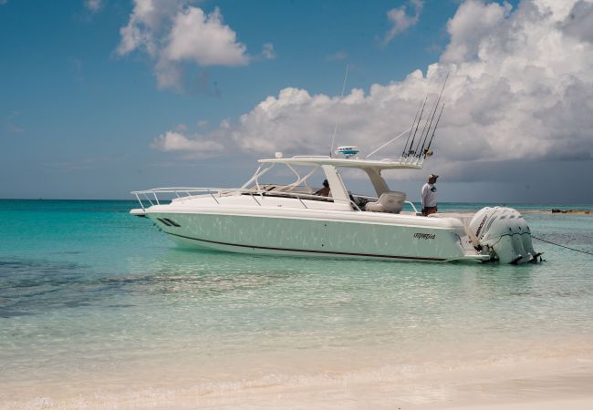 Villa in Leeward - Sand and Sea Villa in Leeward - Sand and Sea