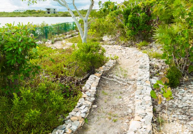 Villa in Turtle Tail - Shutters Villa Villa in Turtle Tail - Shutters Villa