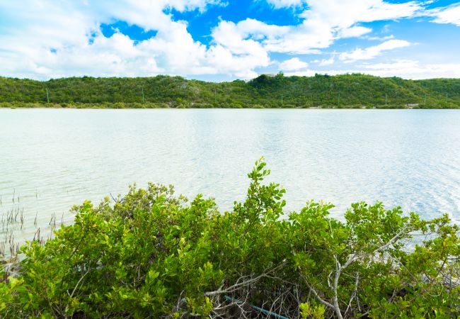 Villa in Turtle Tail - Shutters Villa Villa in Turtle Tail - Shutters Villa