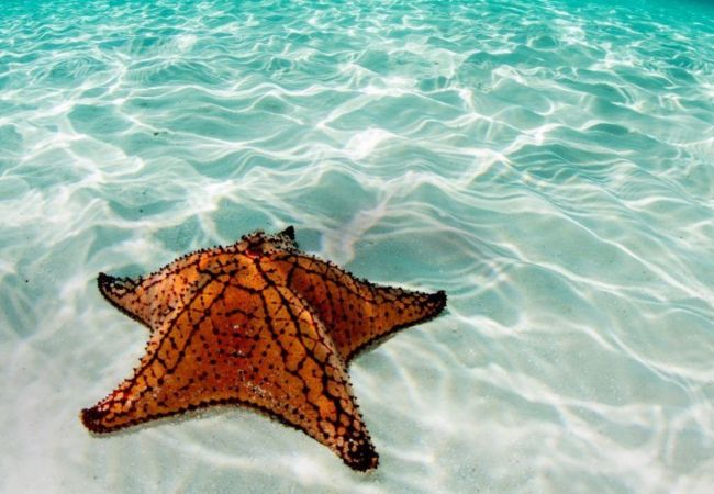 Townhouse in The Bight - Bijou Townhouse in The Bight - Bijou