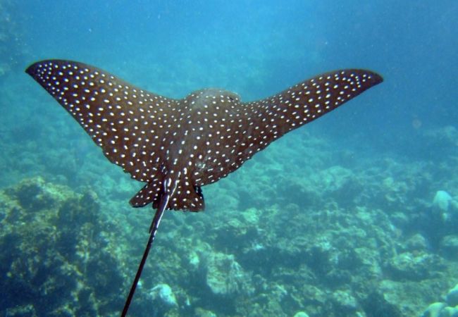 Townhouse in The Bight - Bijou Townhouse in The Bight - Bijou